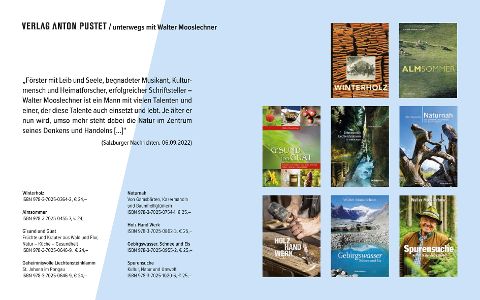 InsideView 13