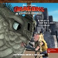 Cover-Bild zum Titel 'Folge 17: Raffnuss die Drachenzähmerin / Eingefroren (Das Original-Hörspiel zur TV-Serie)' von 'Thomas Karallus'
