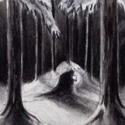 Cover-Bild zum Titel 'Havulinnaan' von 'Havukruunu'