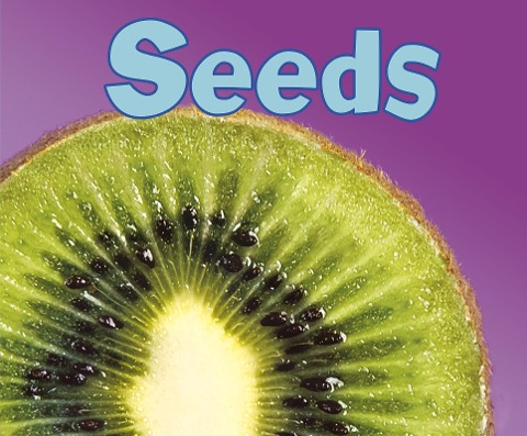 Seeds - Vijaya Khisty Bodach