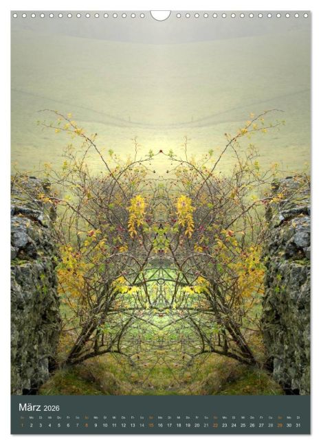 InsideView 8
