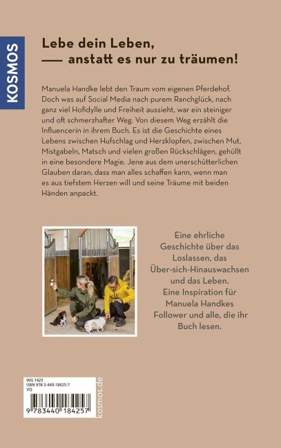 InsideView 1