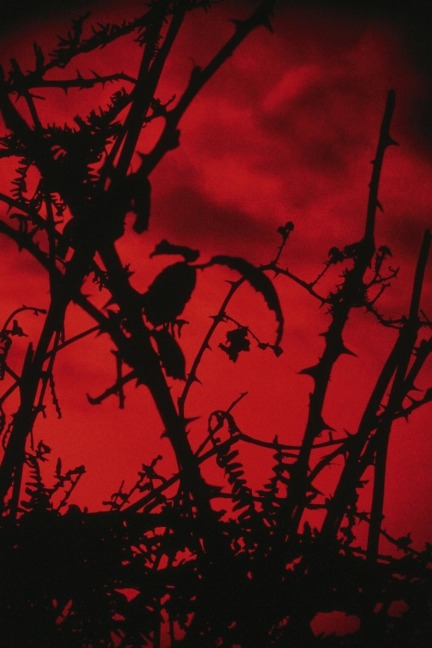 Horror Lobby! - Jaap de Wreede
