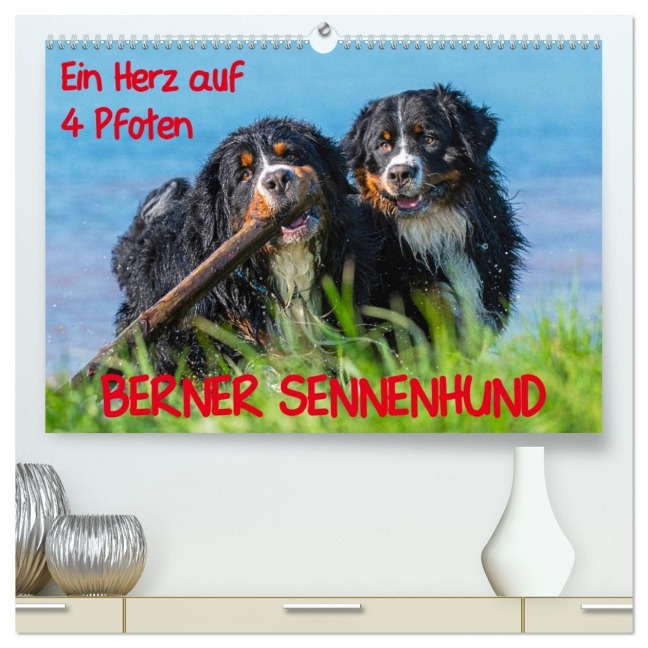 Ein Herz auf 4 Pfoten - Berner Sennenhund (hochwertiger Premium Wandkalender 2026 DIN A2 quer), Kunstdruck in Hochglanz - Sigrid Starick