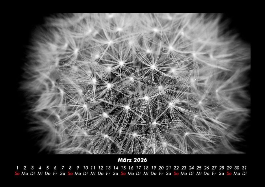 InsideView 7