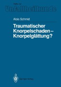 Cover-Bild zum Titel 'Traumatischer Knorpelschaden - Knorpelglättung?' von 'Alois Schmid'
