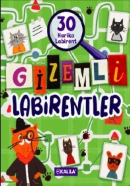 Gizemli Labirentler - Nora Watkins