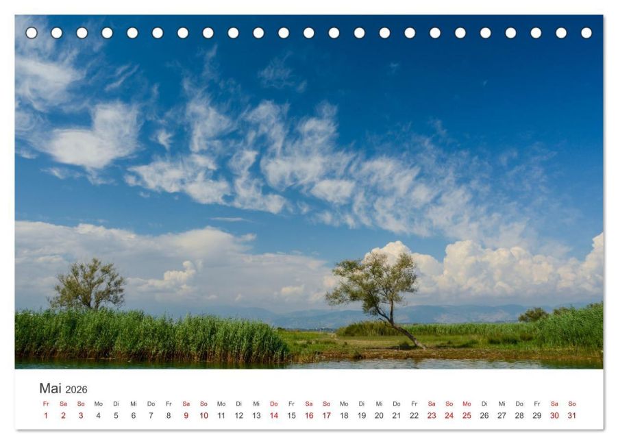 InsideView 10