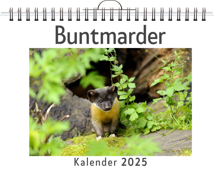 Buntmarder - Lina Schmitt
