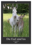 Cover-Bild zum Titel 'Die Esel sind los (Wandkalender 2027 DIN A2 hoch), CALVENDO Monatskalender' von 'Antje Lindert-Rottke'