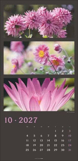 InsideView 10