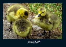 Cover-Bild zum Titel 'Enten 2027 Fotokalender DIN A4' von 'Tobias Schmitt, Kevin Heber'