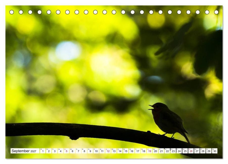 InsideView 14