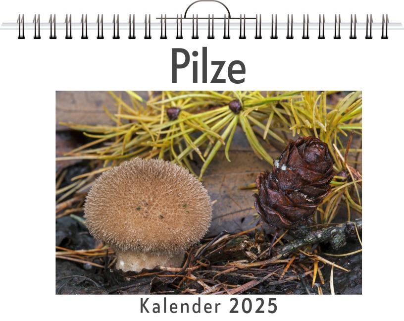 Pilze - David Keller