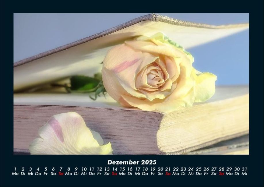 InsideView 4