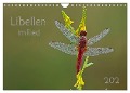 Libellen im Ried (Wandkalender 2025 DIN A4 quer), CALVENDO Monatskalender - Dorothea Oldani