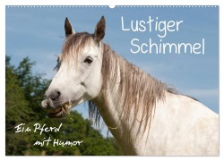 Lustiger Schimmel - ein Pferd mit Humor (Wandkalender 2026 DIN A2 quer), CALVENDO Monatskalender - Meike Bölts