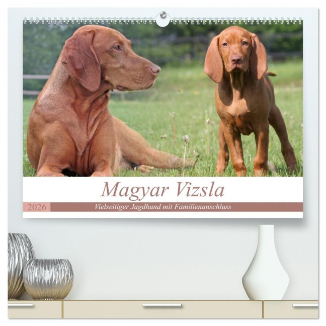Magyar Vizsla - Vielseitiger Jagdhund mit Familienanschluss (hochwertiger Premium Wandkalender 2026 DIN A2 quer), Kunstdruck in Hochglanz - Barbara Mielewczyk
