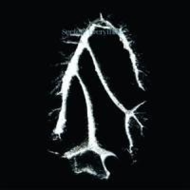 Everything Squared - Seefeel
