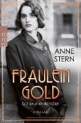 Cover-Bild zum Titel 'Fräulein Gold: Scheunenkinder' von 'Anne Stern'