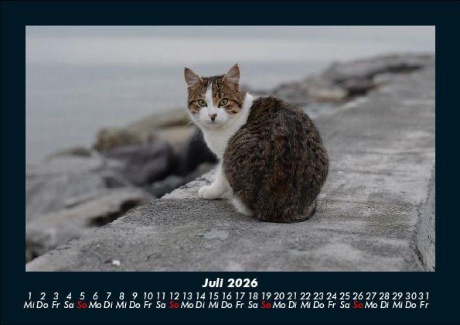 InsideView 11