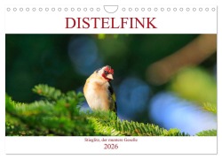Cover-Bild zum Titel 'Distelfink (Wandkalender 2026 DIN A4 quer), CALVENDO Monatskalender' von 'Anette Jäger'