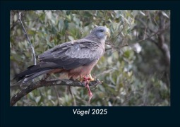 Cover-Bild zum Titel 'Vögel 2025 Fotokalender DIN A5' von 'Tobias Becker'