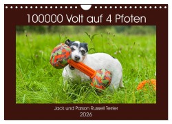 Cover-Bild zum Titel '100000 Volt auf vier Pfoten - Jack und Parson Russell Terrier (Wandkalender 2026 DIN A4 quer), CALVENDO Monatskalender' von 'Sigrid Starick'