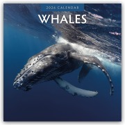 Whales - Wale 2026 - 16-Monatskalender - Robin Red