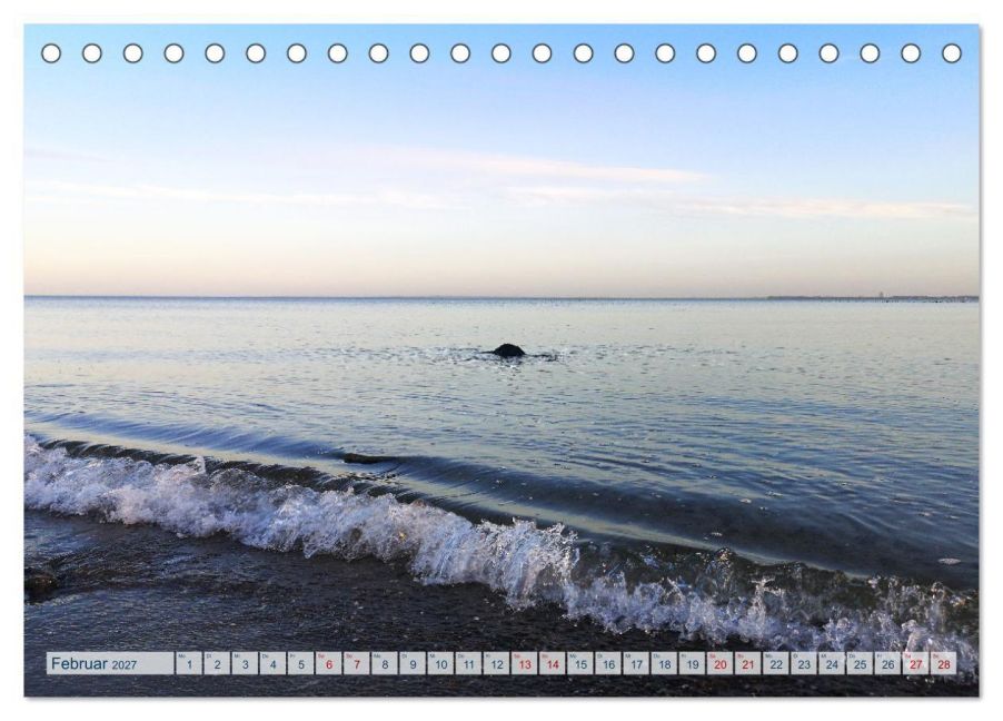 InsideView 7