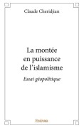 Cover-Bild zum Titel 'La montée en puissance de l'islamisme' von 'Claude Cheridjian'