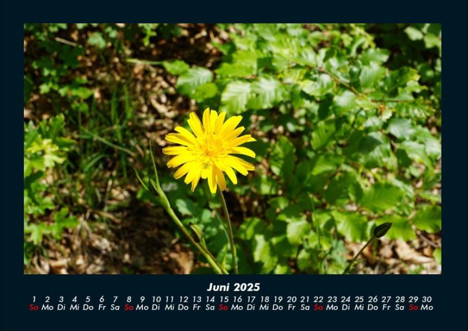 InsideView 10