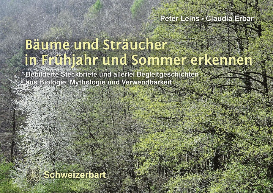 Bäume und Sträucher in Frühjahr und Sommer erkennen - Peter Leins, Claudia Erbar