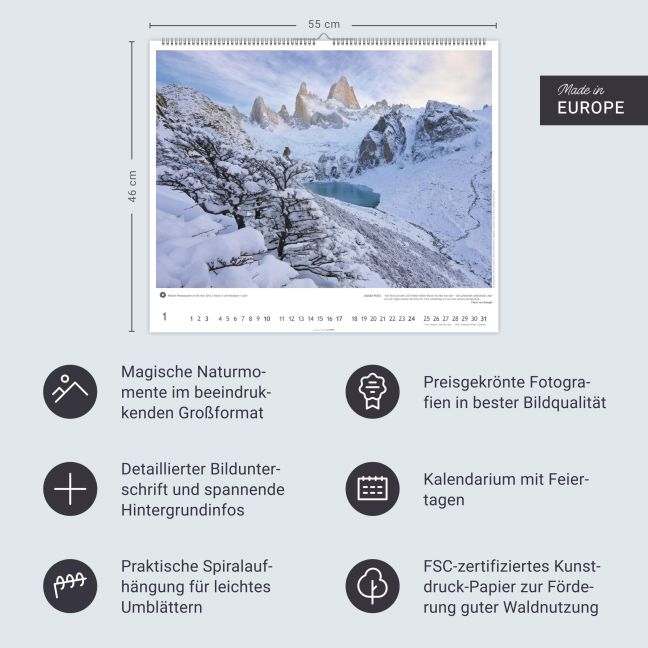 InsideView 13