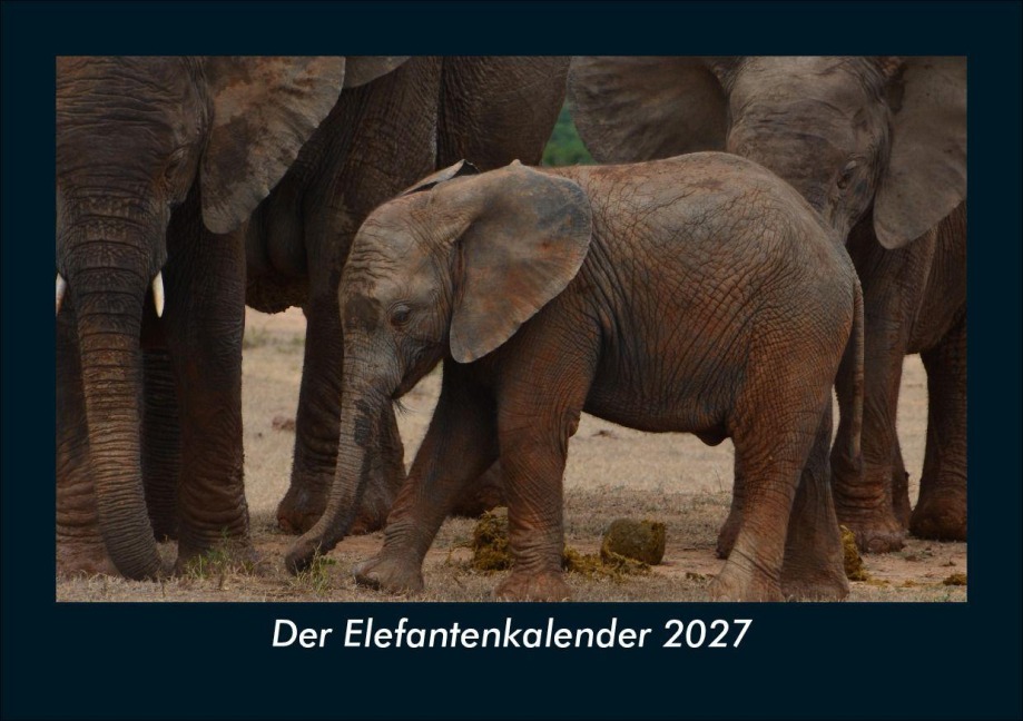 Der Elefantenkalender 2027 Fotokalender DIN A5 - Tobias Schmitt, Kevin Heber
