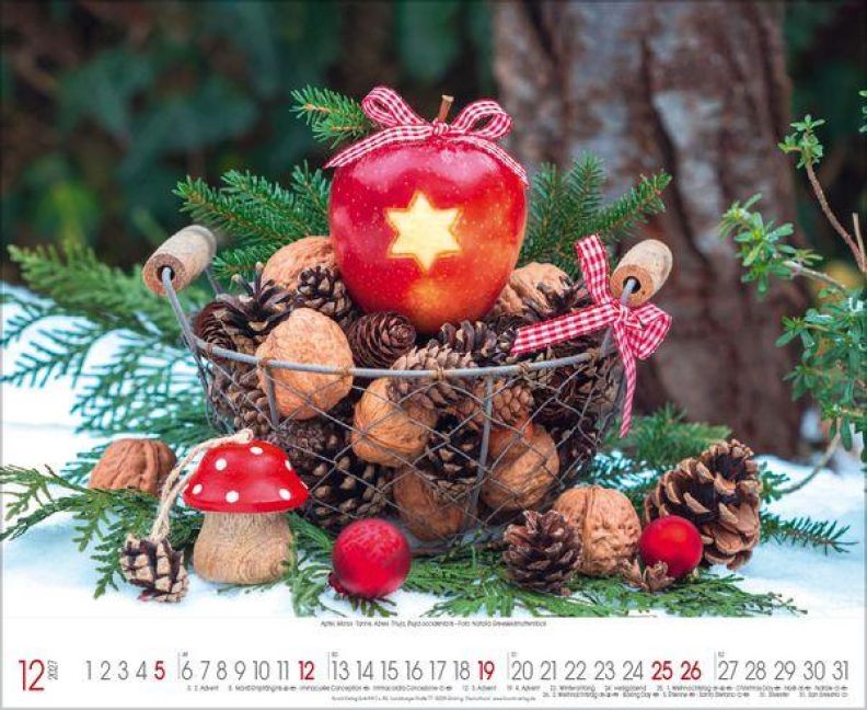 InsideView 12