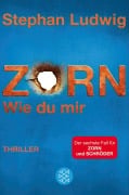 Cover-Bild zum Titel 'Zorn - Wie du mir' von 'Stephan Ludwig'