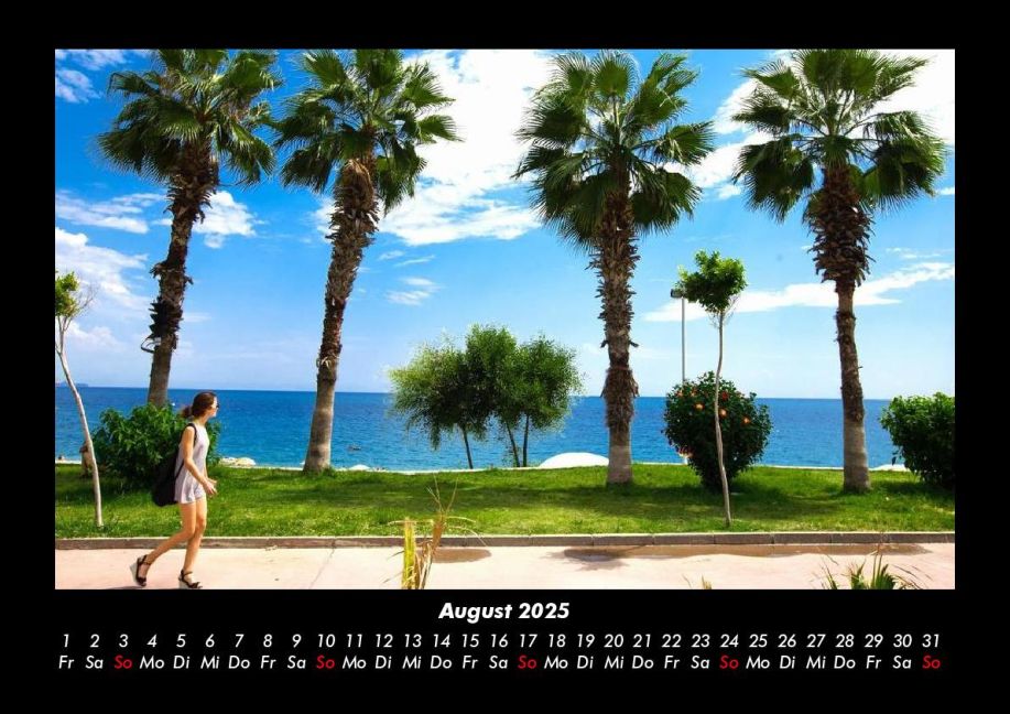 InsideView 12