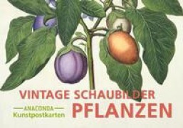 Cover-Bild zum Titel 'Postkarten-Set Vintage-Schaubilder Pflanzen' von ''