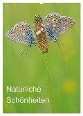 Insekten,Schönheiten der Natur (Wandkalender 2024 DIN A2 hoch), CALVENDO Monatskalender - Jürgen Blum