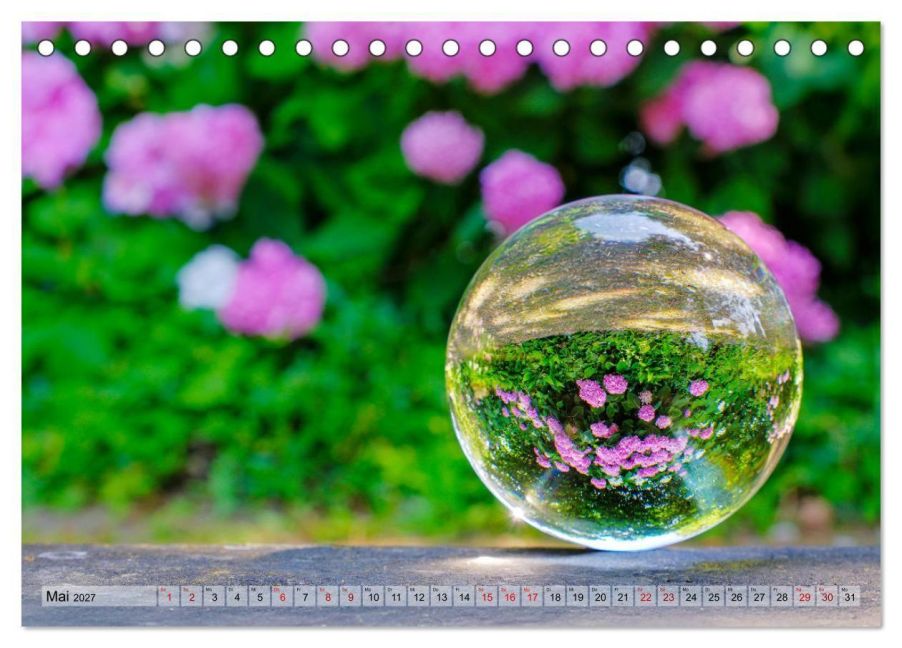 InsideView 10