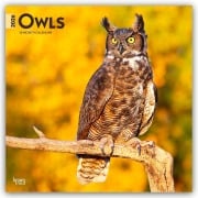 Owls - Eulen 2026 - 16-Monatskalender - Browntrout Publishers