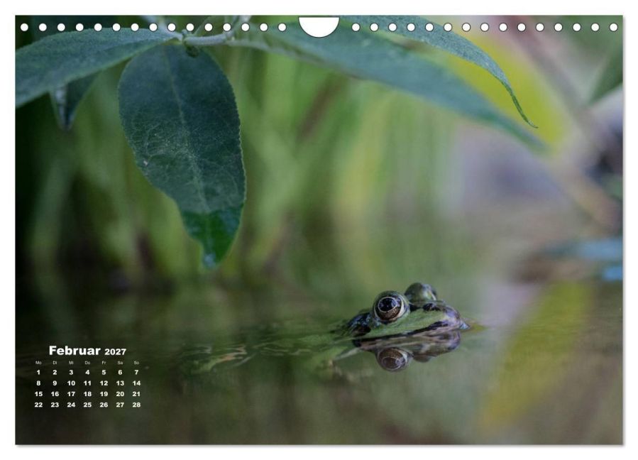InsideView 7