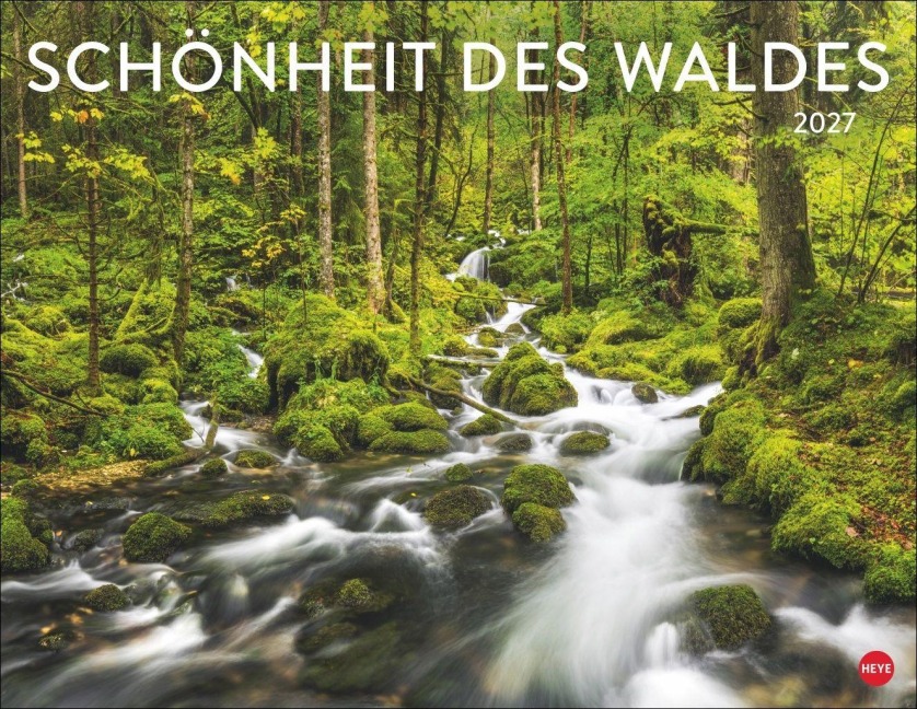 Schönheit des Waldes Posterkalender 2027 - 
