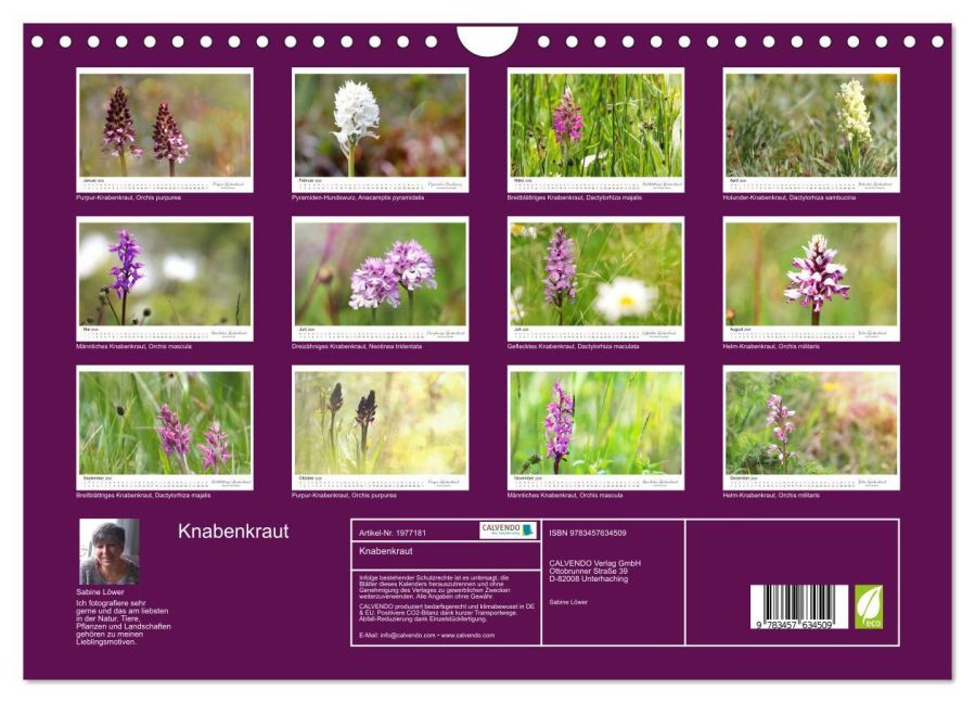 InsideView 5
