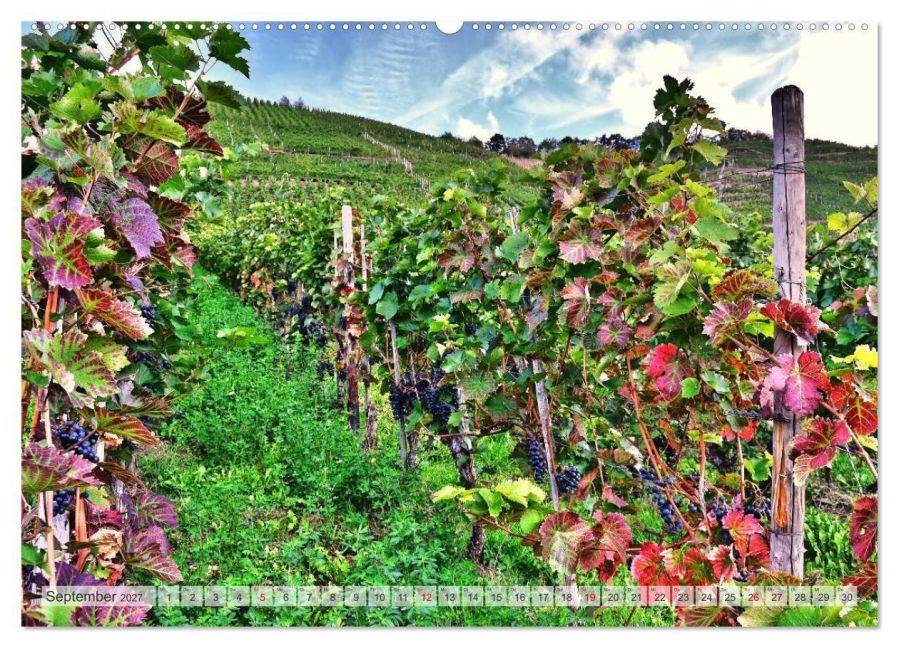 InsideView 14