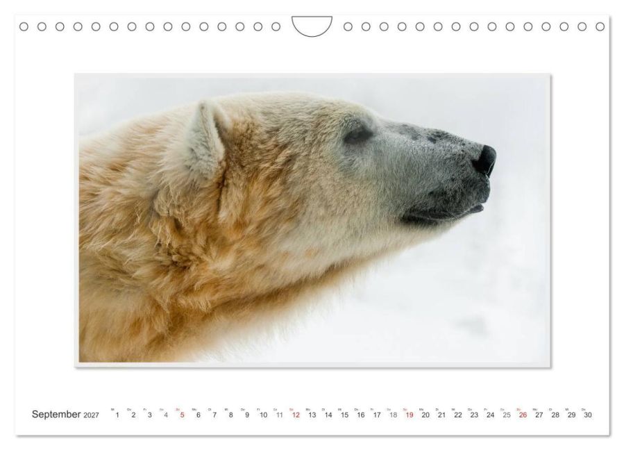 InsideView 14