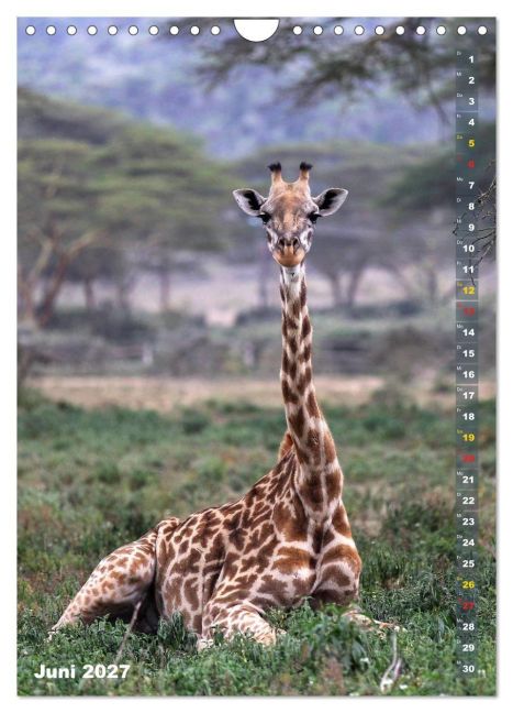 InsideView 11