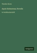 Cover-Bild zum Titel 'Aquis Submersus; Novelle' von 'Theodor Storm'