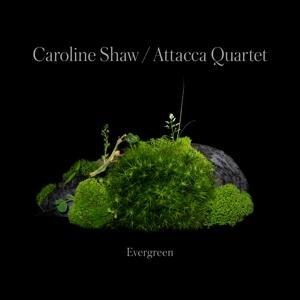 Caroline Shaw:Evergreen - Caroline/Attacca Quartet Shaw